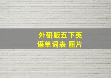 外研版五下英语单词表 图片